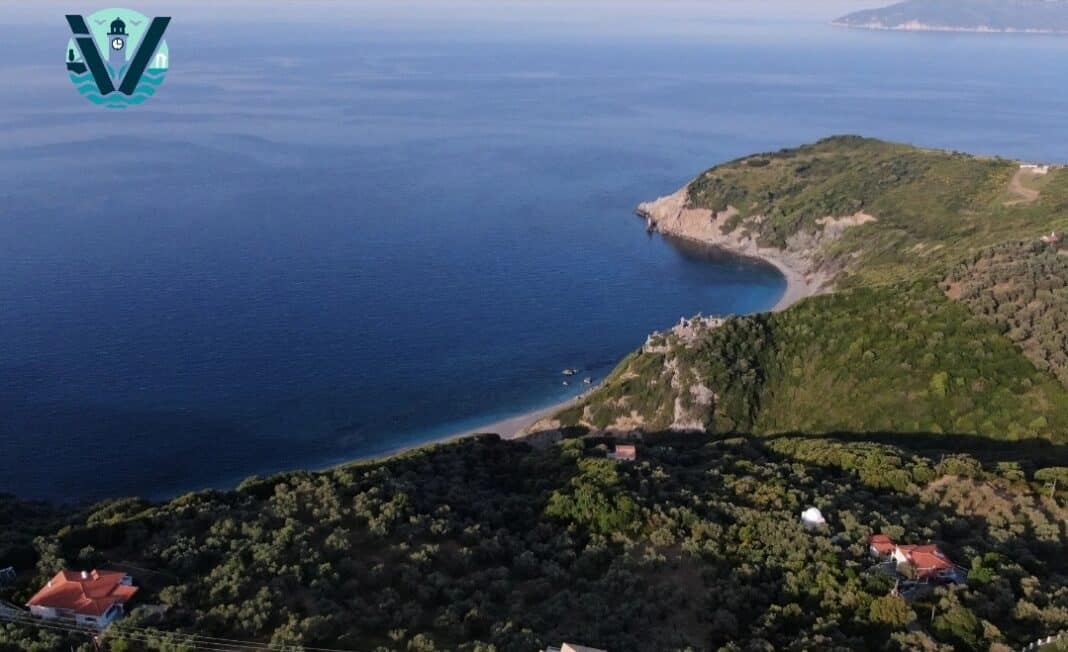 Όταν το δάσος… θυμήθηκαν όλοι να το δουν