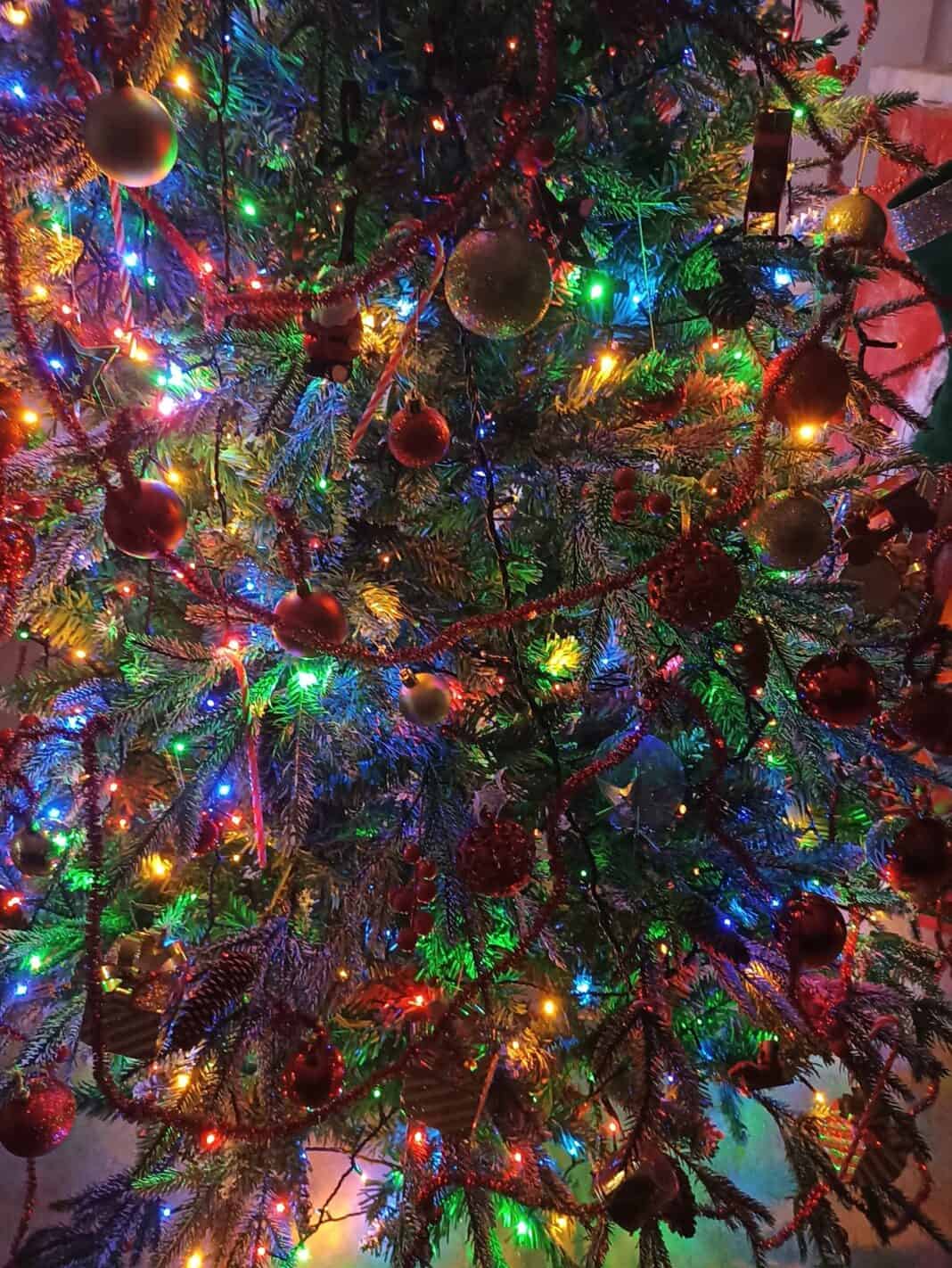 Προβολές στο 3ο Νηπιαγωγείο Σκιάθου