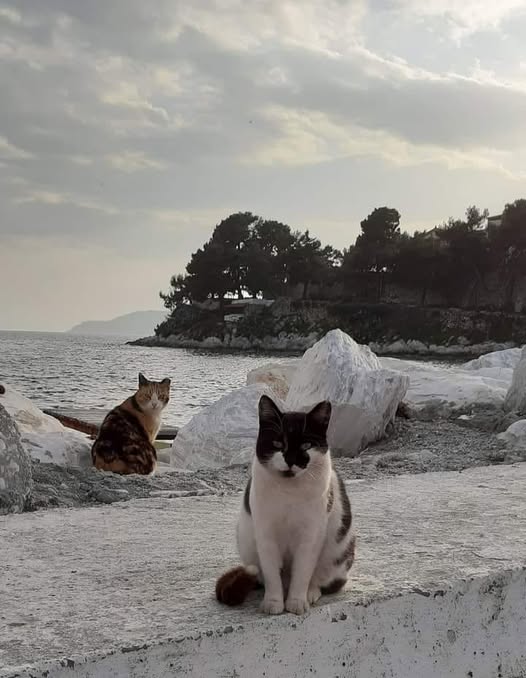 Να φύγουμε και να γνωρίσουμε όλο τον κόσμο…