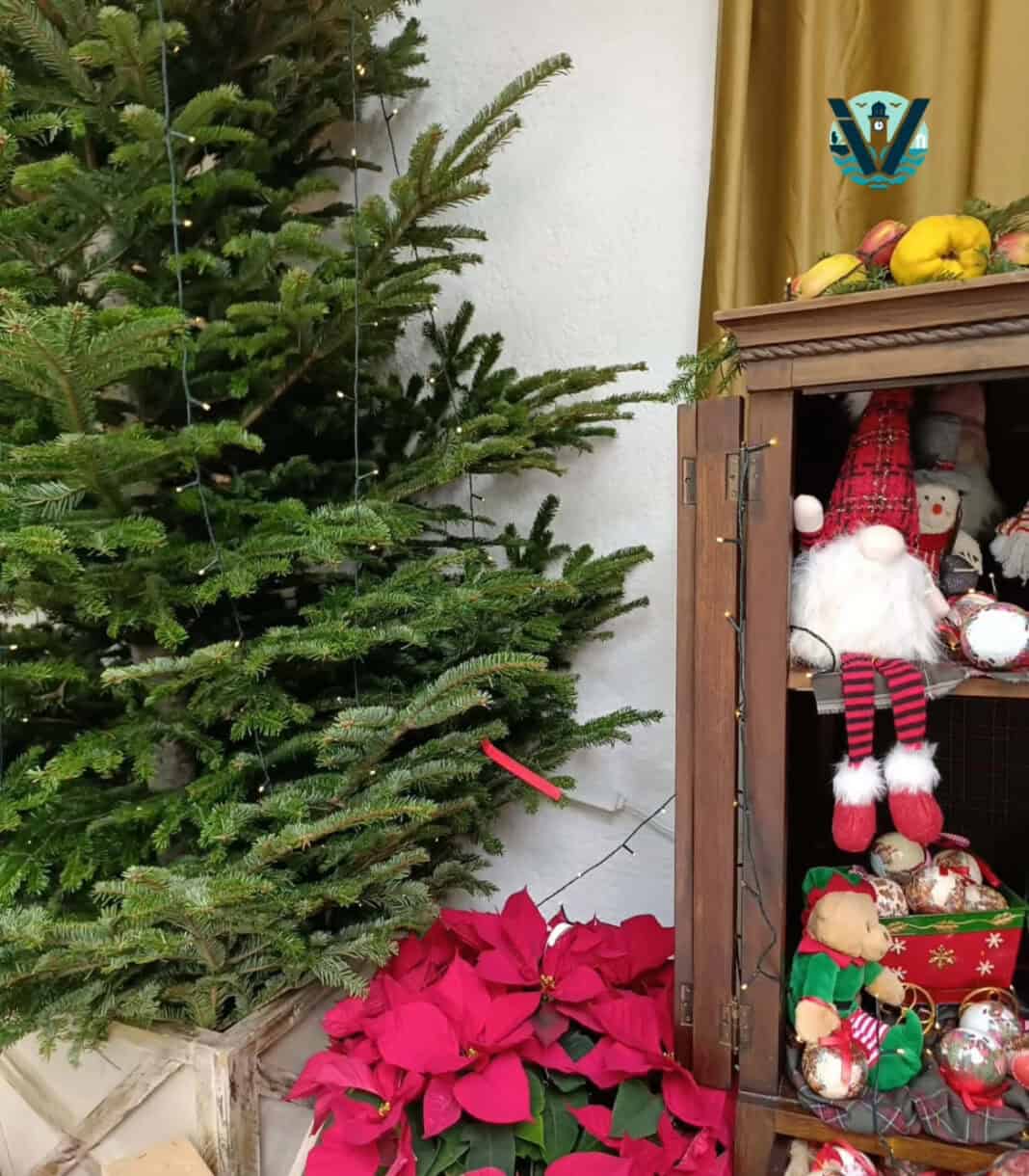 Χριστουγεννιάτικες εικόνες που μυρίζουν γιορτές…