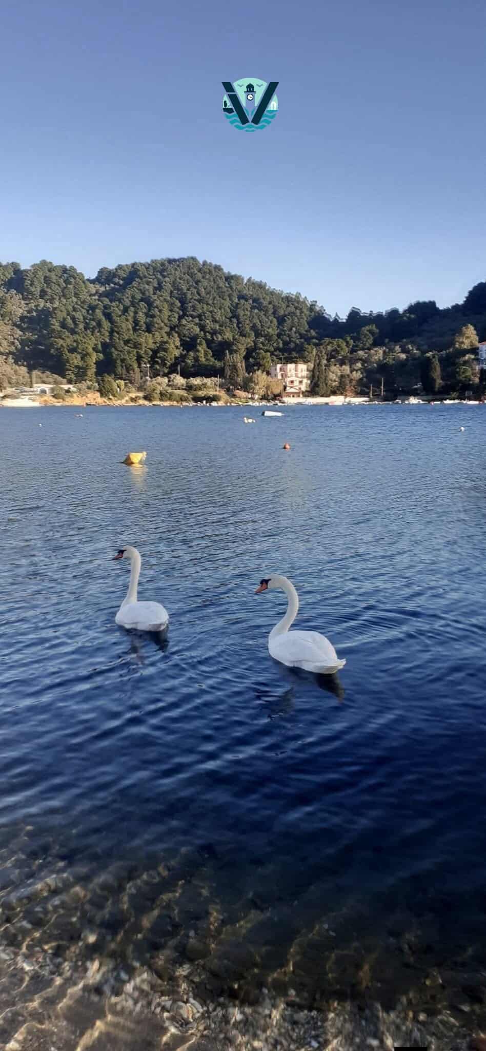 Καλή Κυριακή από τη Σκιάθο!