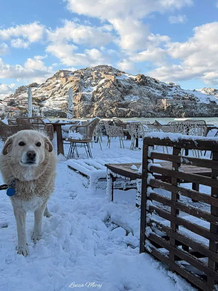 Άσπρη η Λήμνος