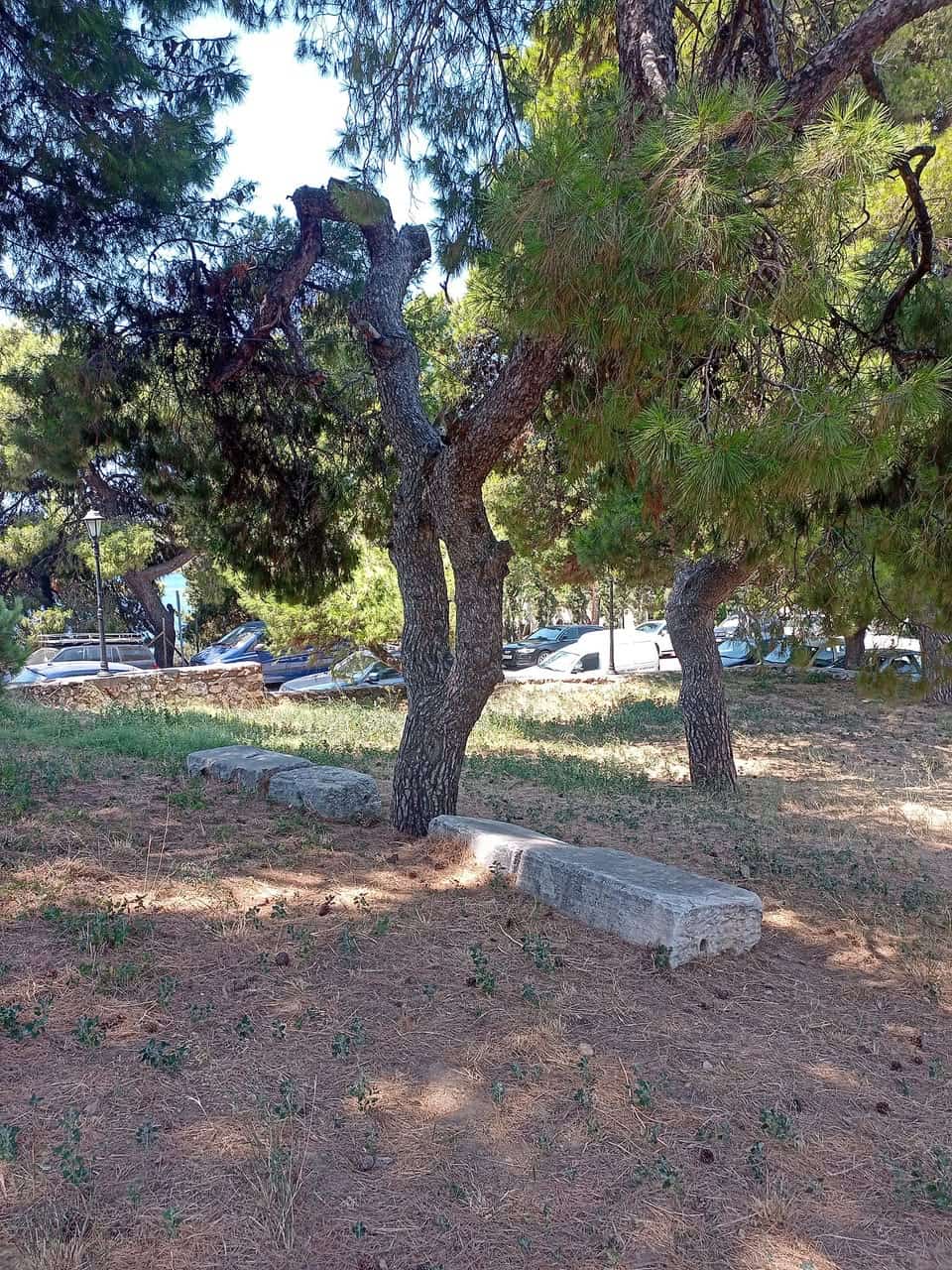 ΜΙΑ ΠΡΟΤΑΣΗ ΓΙΑ ΤΑ ΠΕΥΚΑΚΙΑ ΣΤΗΝ ΑΓΙΑ ΤΡΙΑΔΑ