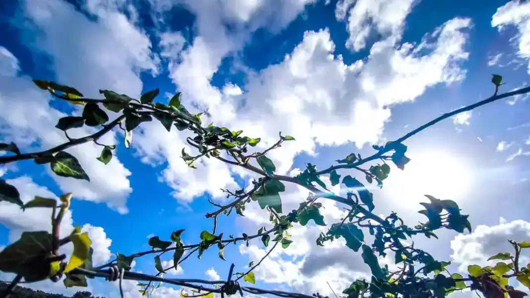 Τους 18 βαθμούς Κελσίου θα φτάσει η θερμοκρασία