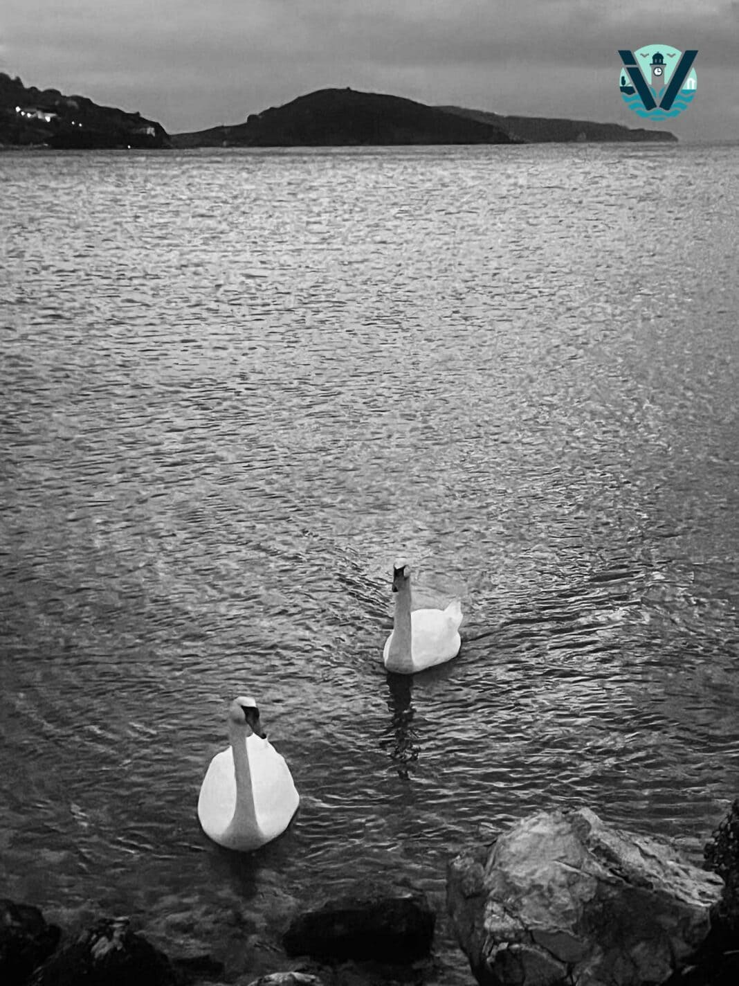 Μια στιγμή γαλήνης στα νερά της Σκιάθου..