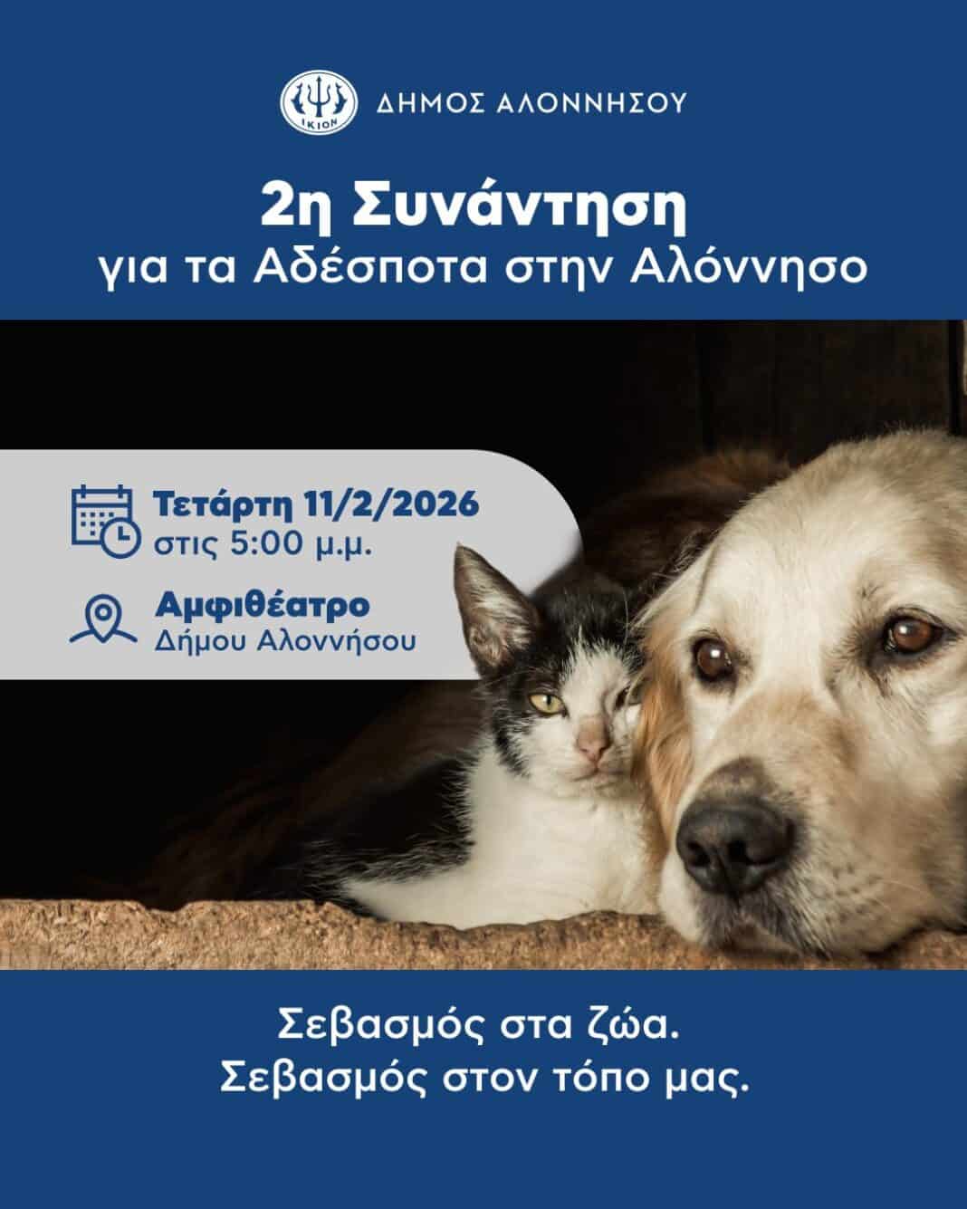 Τα αδέσποτα μάς αφορούν όλους.