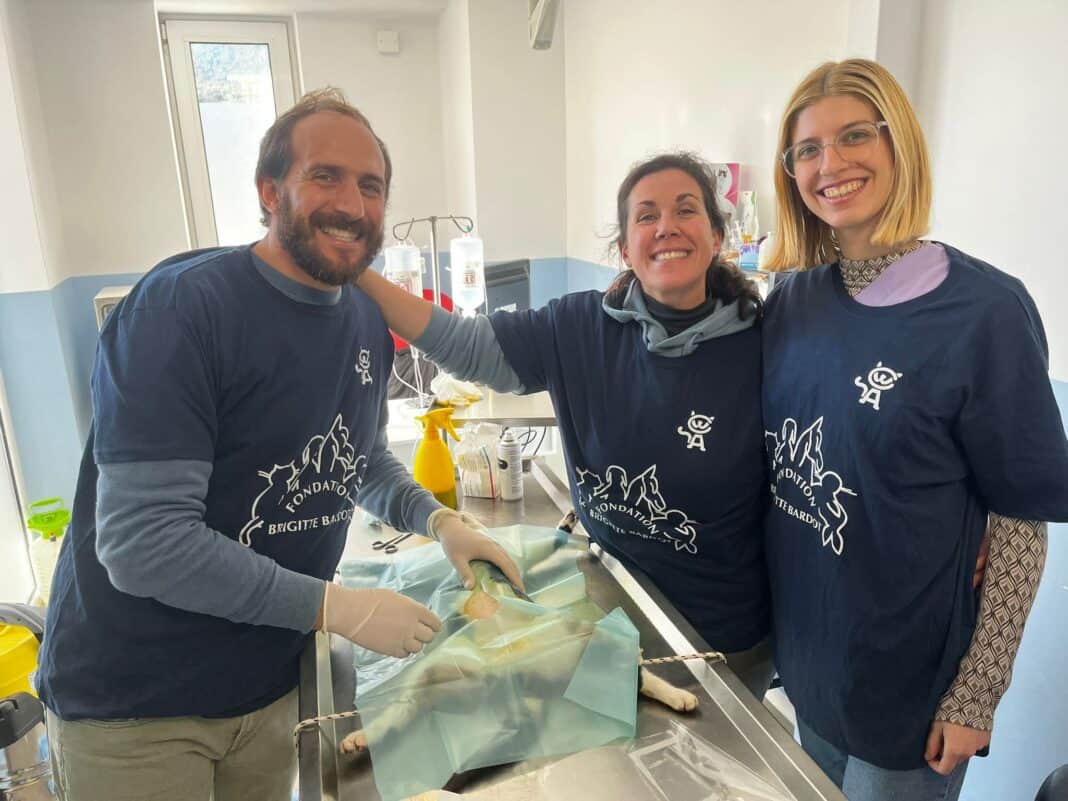 Διεθνής αλληλεγγύη: το Ίδρυμα Brigitte Bardot ασχολείται επί τόπου στην Ελλάδα