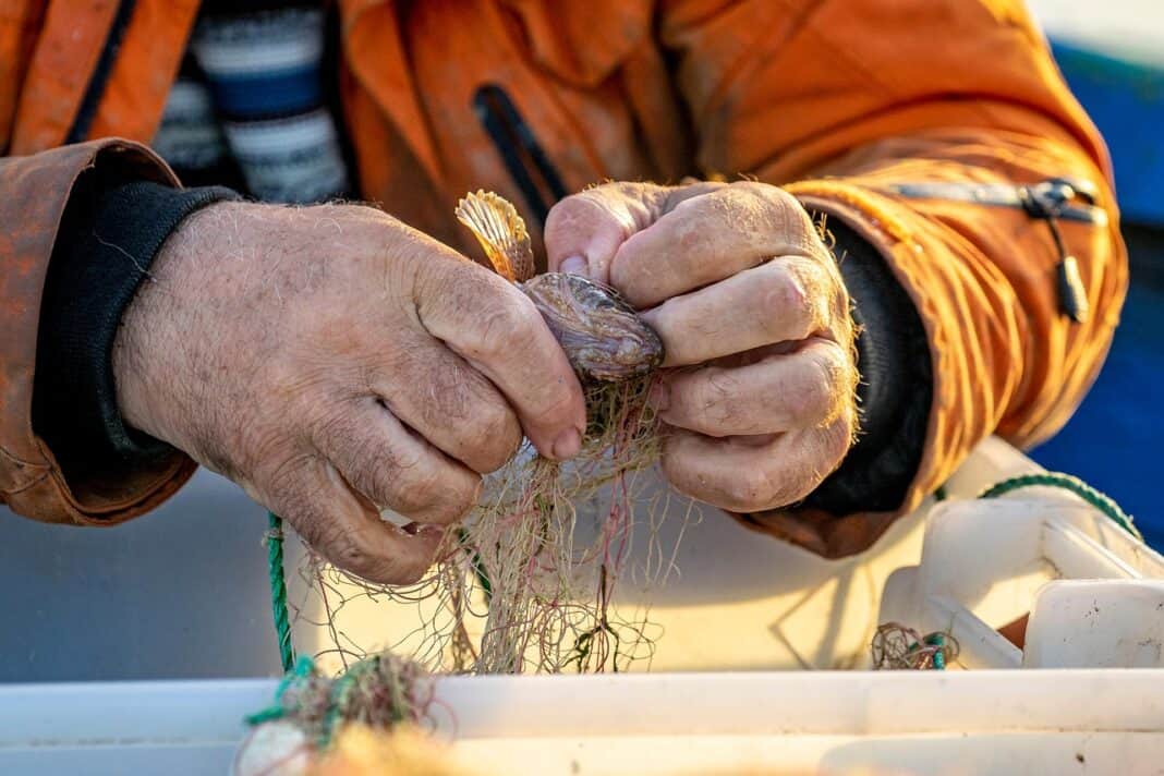 Παρέμβαση του Αλιευτικού Συλλόγου Αλοννήσου στη σύσκεψη του Υπουργείου Αγροτικής Ανάπτυξης για την παράκτια αλιεία Παρέμβαση του Αλιευτικού Συλλόγου Αλοννήσου στη σύσκεψη του Υπουργείου Αγροτικής Ανάπτυξης για την παράκτια αλιεία