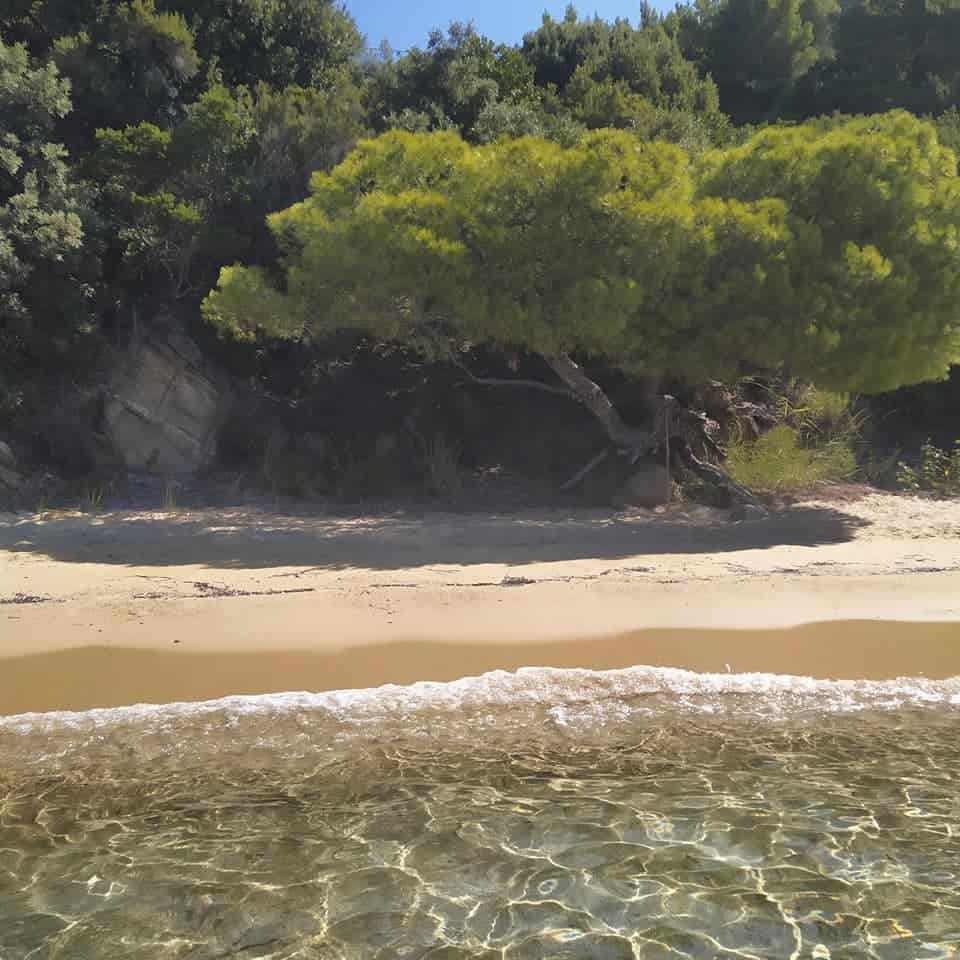 ΠΩΣ ΠΗΡΕ ΤΟ ΟΝΟΜΑ ΤΗΣ Η ΣΚΙΑΘΟΣ ΠΩΣ ΠΗΡΕ ΤΟ ΟΝΟΜΑ ΤΗΣ Η ΣΚΙΑΘΟΣ