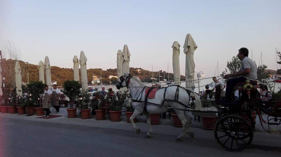 ΤΙ ΜΕΛΛΕΙ ΓΕΝΕΣΘΑΙ ΣΤΟ ΠΑΡΑΛΙΑΚΟ ΜΕΤΩΠΟ ΤΗΣ ΣΚΙΑΘΟΥ; ΤΙ ΜΕΛΛΕΙ ΓΕΝΕΣΘΑΙ ΣΤΟ ΠΑΡΑΛΙΑΚΟ ΜΕΤΩΠΟ ΤΗΣ ΣΚΙΑΘΟΥ;