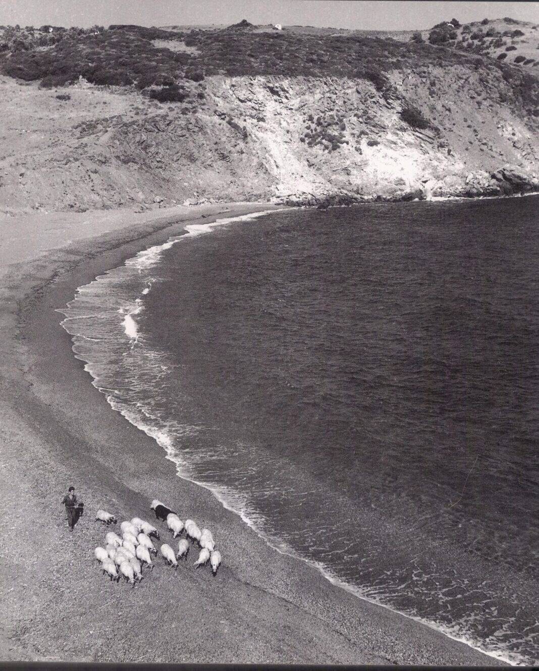 ΞΑΝΕΜΟ ΚΑΙ ΠΑΠΑΔΙΑΜΑΝΤΗΣ * ΞΑΝΕΜΟ ΚΑΙ ΠΑΠΑΔΙΑΜΑΝΤΗΣ *