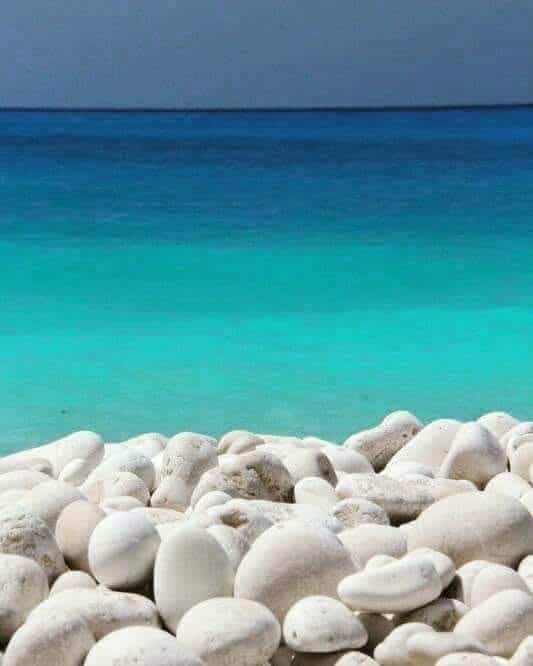 Τα λαλαρίδια δεν είναι παιδιά… Τα λαλαρίδια δεν είναι παιδιά…