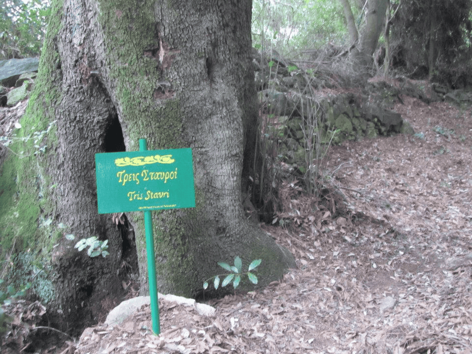 O TOΠΟΣ ΤΗΣ ΘΥΣΙΑΣ ΤΟΥ ΦΤΩΧΟΥ ΑΓΙΟΥ O TOΠΟΣ ΤΗΣ ΘΥΣΙΑΣ ΤΟΥ ΦΤΩΧΟΥ ΑΓΙΟΥ