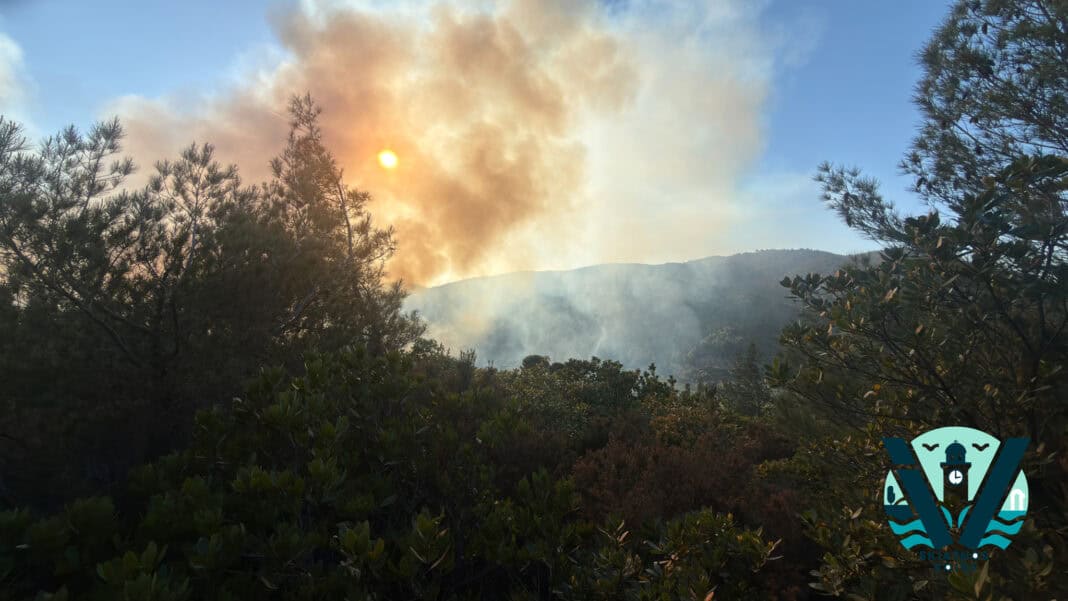 Δημόσια στήριξη στον Διοικητή της Π.Υ. Αερολιμένα από τον Νίκο Γιαμαρέλο Δημόσια στήριξη στον Διοικητή της Π.Υ. Αερολιμένα από τον Νίκο Γιαμαρέλο