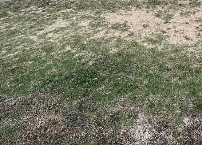 Καταγγελίες για το γήπεδο – «Το πιο ακριβό τσιμέντο» και χαμένα όνειρα για τους μαθητές Καταγγελίες για το γήπεδο – «Το πιο ακριβό τσιμέντο» και χαμένα όνειρα για τους μαθητές