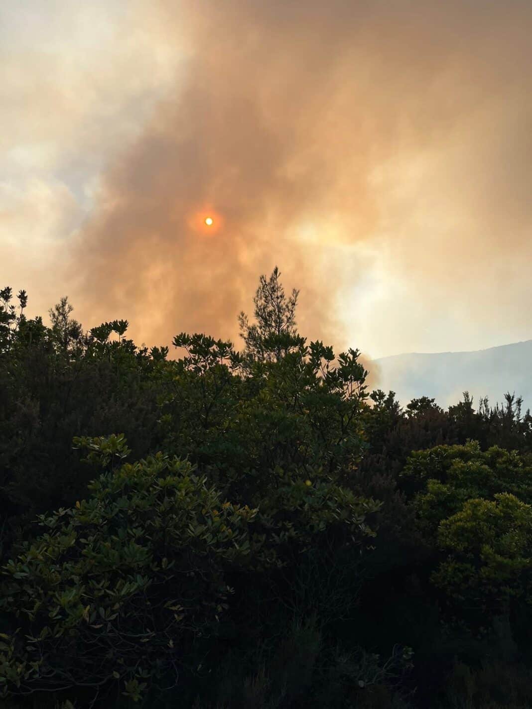 Δημόσιο «ευχαριστώ» του Γιώργου Λιακόπουλου στους εθελοντές για τη μάχη με τη φωτιά Δημόσιο «ευχαριστώ» του Γιώργου Λιακόπουλου στους εθελοντές για τη μάχη με τη φωτιά