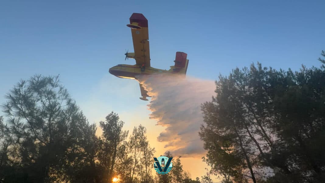 Έσβησε η φωτιά στη Σκιάθο – Άμεση επέμβαση με Canadair και Πυροσβεστική Έσβησε η φωτιά στη Σκιάθο – Άμεση επέμβαση με Canadair και Πυροσβεστική