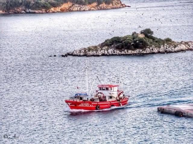 ΤΟ ΦΑΡΟΝΗΣΙ ΔΑΣΚΑΛΕΙΟ ΣΤΟ ΛΙΜΑΝΙ ΤΗΣ ΣΚΙΑΘΟΥ ΤΟ ΦΑΡΟΝΗΣΙ ΔΑΣΚΑΛΕΙΟ ΣΤΟ ΛΙΜΑΝΙ ΤΗΣ ΣΚΙΑΘΟΥ
