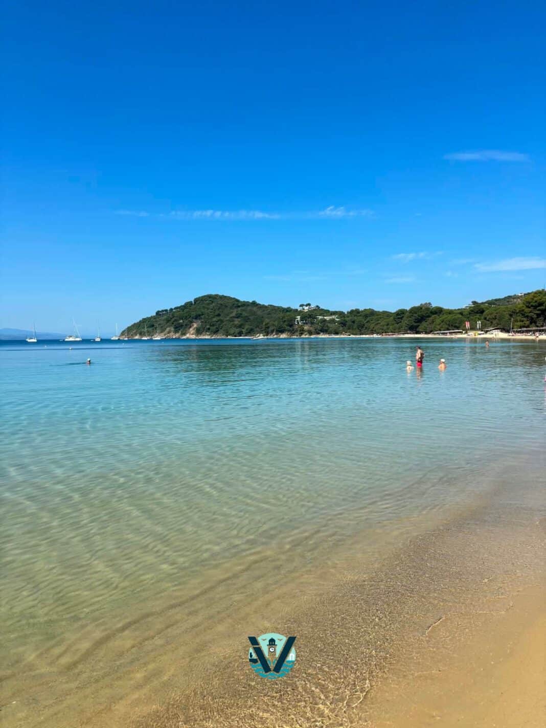 Καλημέρα από τις Κουκουναριές: Η παραλία-σύμβολο της Σκιάθου μας μαγεύει! Καλημέρα από τις Κουκουναριές: Η παραλία-σύμβολο της Σκιάθου μας μαγεύει!