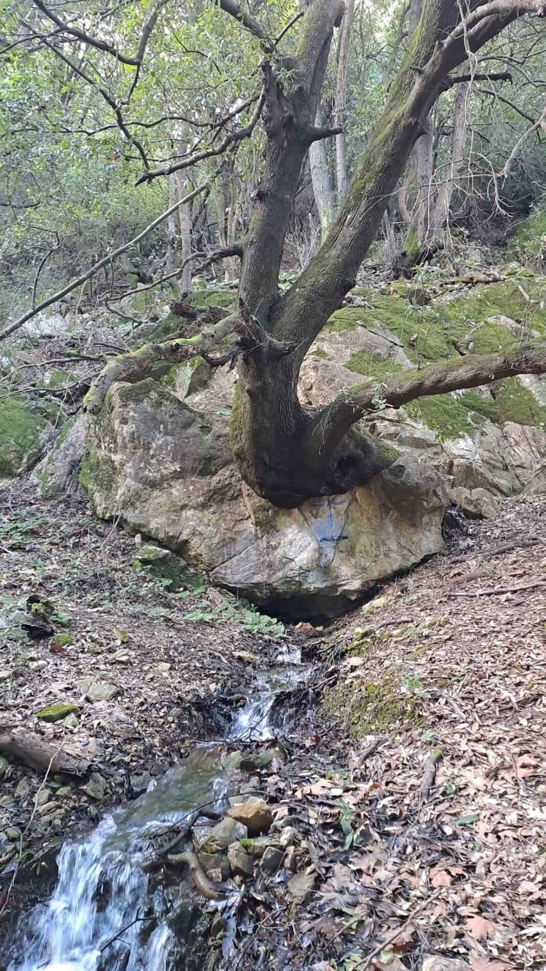 Η ΜΥΣΤΗΡΙΩΔΗΣ ΒΡΥΣΗ ”ΔΑΣΚΑΛΕΙΟ” ΣΤΗ ΣΚΙΑΘΟ… Η ΜΥΣΤΗΡΙΩΔΗΣ ΒΡΥΣΗ ”ΔΑΣΚΑΛΕΙΟ” ΣΤΗ ΣΚΙΑΘΟ…