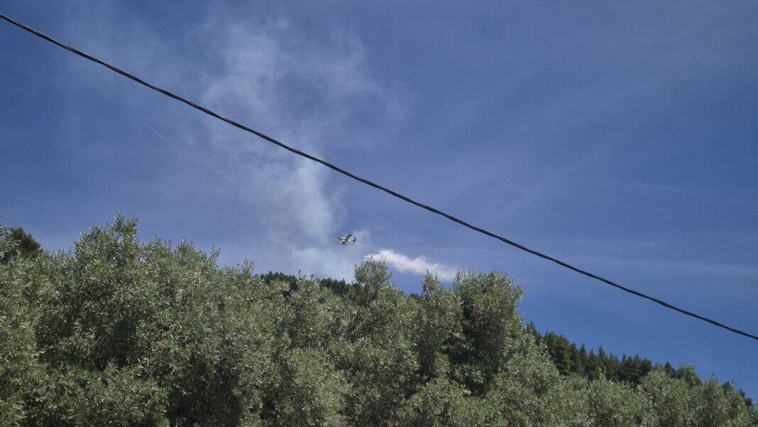 Σκόπελος: Άμεση επέμβαση απέτρεψε τα χειρότερα στο παρθένο πευκοδάσος Σκόπελος: Άμεση επέμβαση απέτρεψε τα χειρότερα στο παρθένο πευκοδάσος