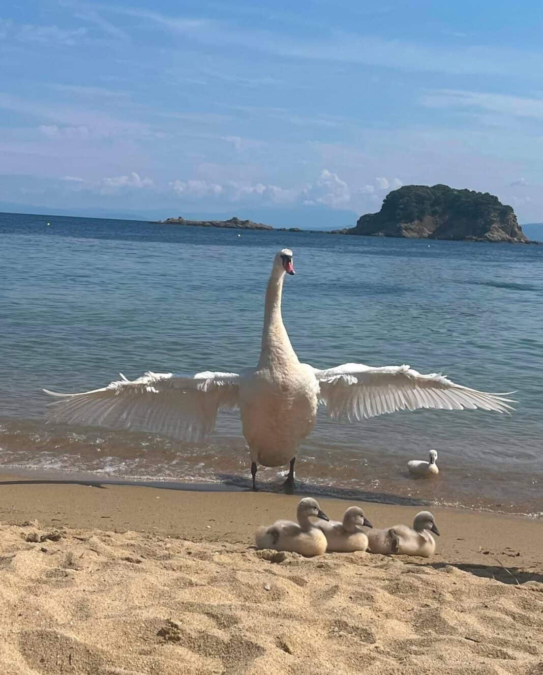 Η φύση ζωγραφίζει τις πιο όμορφες εικόνες στον Τρούλο Η φύση ζωγραφίζει τις πιο όμορφες εικόνες στον Τρούλο