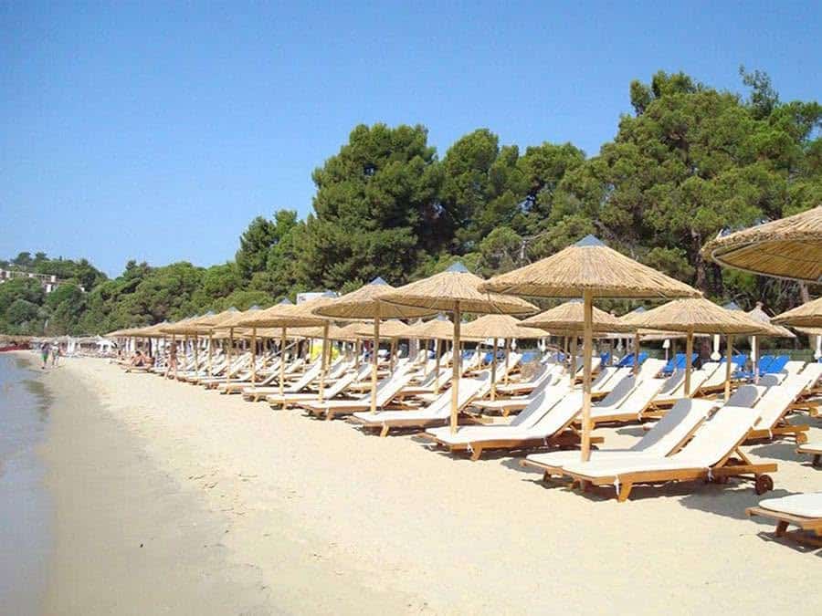 Επιστροφή στην Κανονικότητα Επιστροφή στην Κανονικότητα
