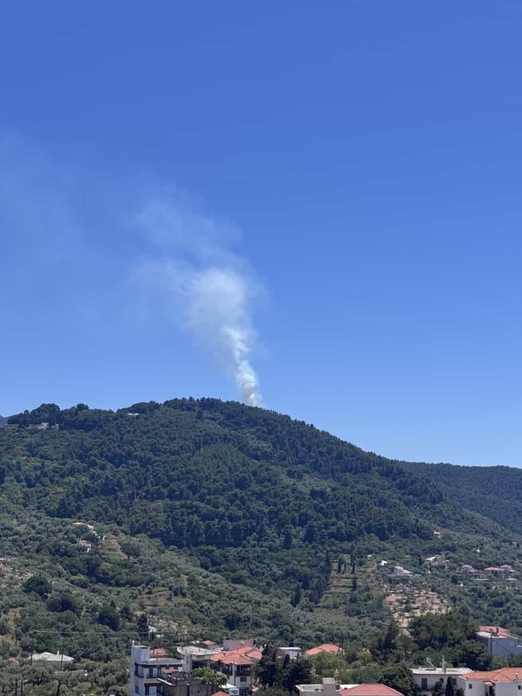 Άμεση και αποτελεσματική αντιμετώπιση της πυρκαγιάς στην περιοχή Π. Κλήμα Σκοπέλου Άμεση και αποτελεσματική αντιμετώπιση της πυρκαγιάς στην περιοχή Π. Κλήμα Σκοπέλου
