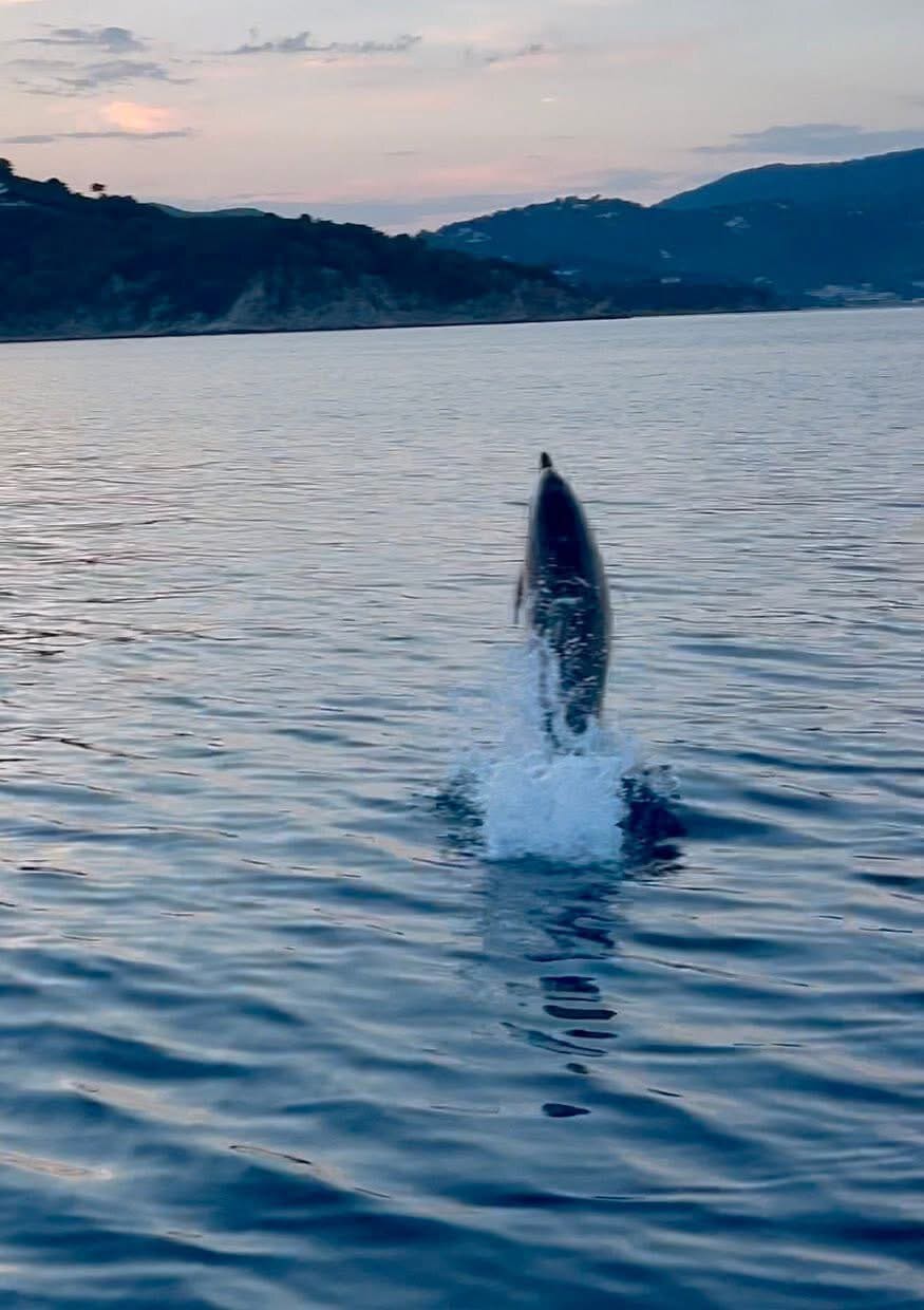 Skiathos Diving Center: Μαγικές στιγμές που μόνο η θάλασσα μπορεί να χαρίσει! Skiathos Diving Center: Μαγικές στιγμές που μόνο η θάλασσα μπορεί να χαρίσει!