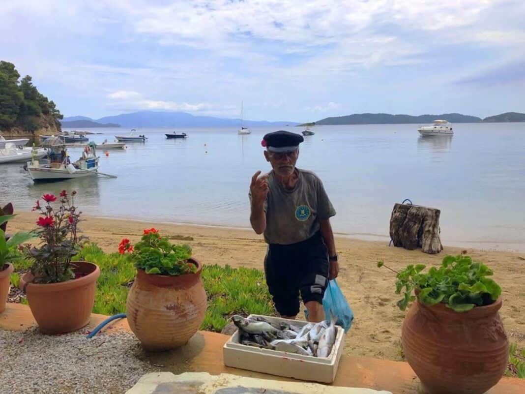 ΜΑΣ ΛΕΙΠΟΥΝ ΟΙ ΠΑΡΑΓΩΓΟΙ ΚΙ ΟΧΙ ΤΑ ΥΠΕΡΜΑΡΚΕΤ ΜΑΣ ΛΕΙΠΟΥΝ ΟΙ ΠΑΡΑΓΩΓΟΙ ΚΙ ΟΧΙ ΤΑ ΥΠΕΡΜΑΡΚΕΤ