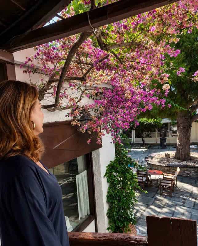 Η Άντζελα Γκερέκου μαγεύτηκε από τη Σκιάθο και το σπίτι του Παπαδιαμάντη Η Άντζελα Γκερέκου μαγεύτηκε από τη Σκιάθο και το σπίτι του Παπαδιαμάντη