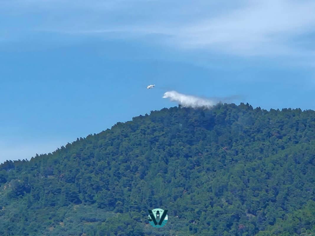 Σκόπελος: Έσβησε η φωτιά σε αγροτοδασική έκταση – Επιχείρησαν επίγειες και εναέριες δυνάμεις Σκόπελος: Έσβησε η φωτιά σε αγροτοδασική έκταση – Επιχείρησαν επίγειες και εναέριες δυνάμεις