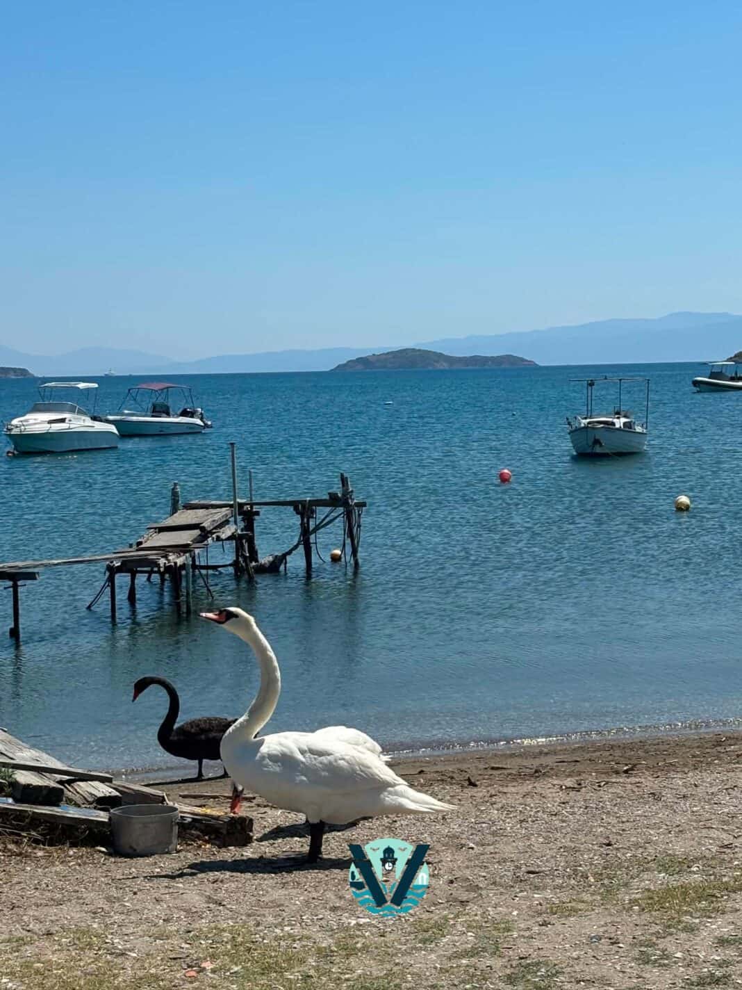 Κυριακή μεσημέρι στη Σκιάθο… Κυριακή μεσημέρι στη Σκιάθο…