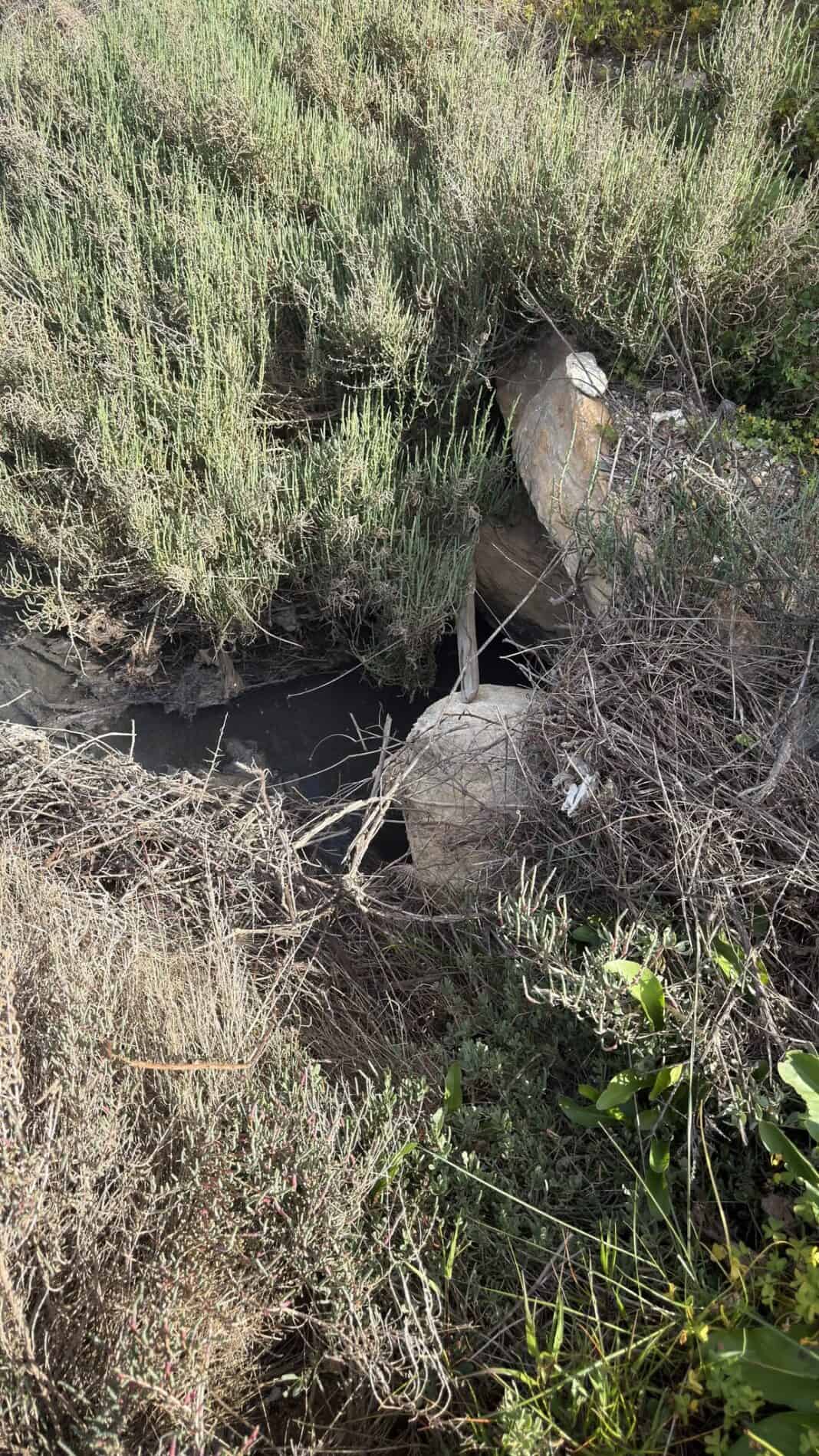 Αυτοψία της Αποκεντρωμένης Διοίκησης στη Σκιάθο μετά από καταγγελίες της αντιπολίτευσης για περιβαλλοντικά ζητήματα Αυτοψία της Αποκεντρωμένης Διοίκησης στη Σκιάθο μετά από καταγγελίες της αντιπολίτευσης για περιβαλλοντικά ζητήματα