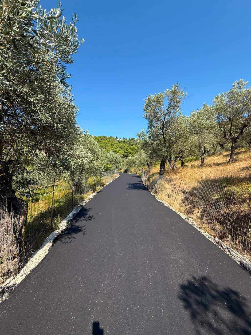 Έργο ασφαλτόστρωσης στην περιοχή Λειβαδάκια Έργο ασφαλτόστρωσης στην περιοχή Λειβαδάκια