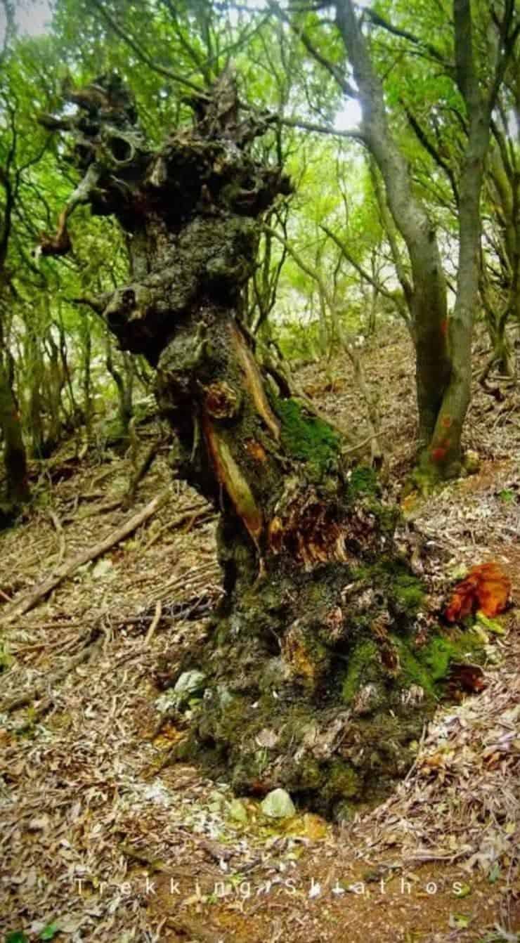 Η Ανατομία της Δεισιδαιμονίας στο Έργο του Παπαδιαμάντη Η Ανατομία της Δεισιδαιμονίας στο Έργο του Παπαδιαμάντη