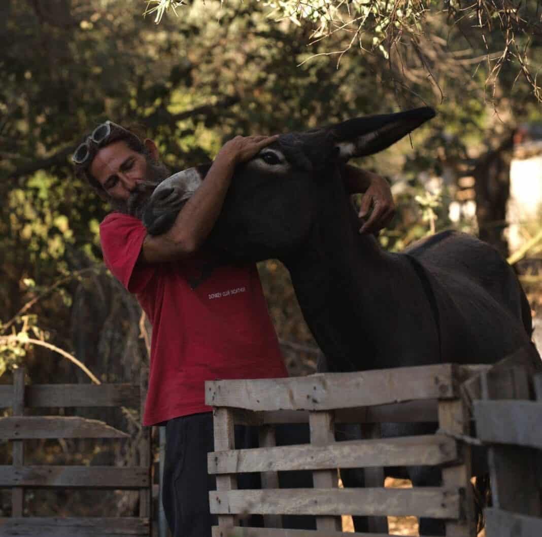 O ΠΑΝΑΓΙΩΤΗΣ ΚΑΛΟΓΙΑΝΝΗΣ ΚΙ Ο ‘’ΑΛΙΒΑΝΙΣΤΟΣ’’… O ΠΑΝΑΓΙΩΤΗΣ ΚΑΛΟΓΙΑΝΝΗΣ ΚΙ Ο ‘’ΑΛΙΒΑΝΙΣΤΟΣ’’…