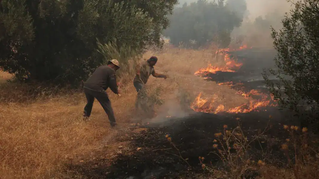 Γύρω από τα Μέγαρα το πύρινο μέτωπο, μπαράζ 112 για εκκενώσεις οικισμών, στη μάχη τα ελικόπτερα, δεν μπορούν να επιχειρήσουν αεροπλάνα Γύρω από τα Μέγαρα το πύρινο μέτωπο, μπαράζ 112 για εκκενώσεις οικισμών, στη μάχη τα ελικόπτερα, δεν μπορούν να επιχειρήσουν αεροπλάνα