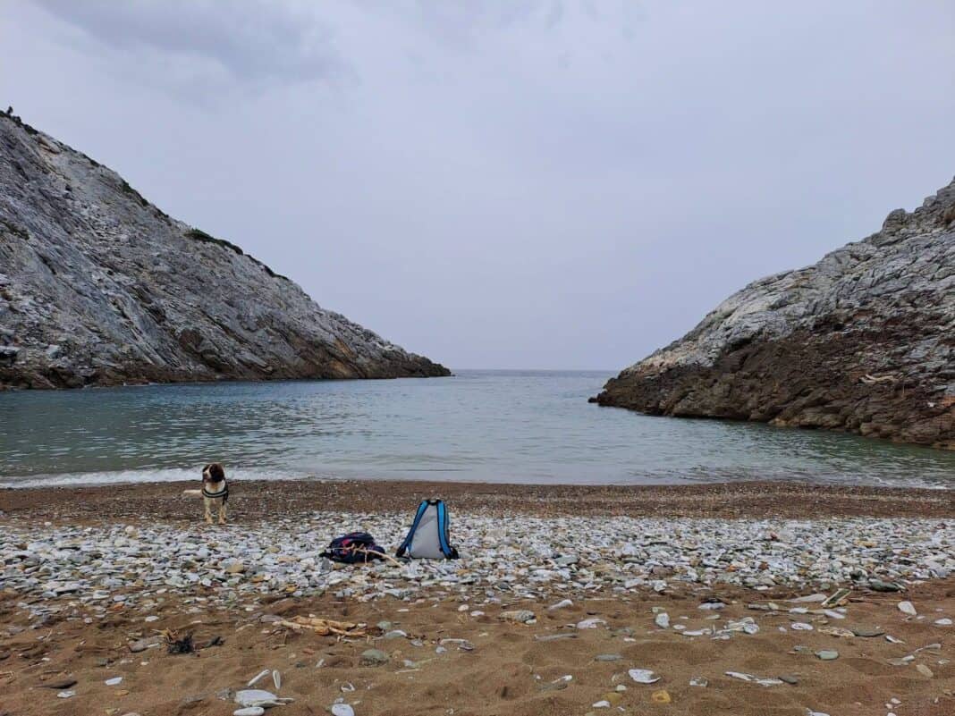 H ΑΓΡΟΤΙΚΗ ΟΔΟΠΟΙΙΑ ΣΤΗ ΣΚΙΑΘΟ KAI TA ΛΑΛΑΡΙΑ ΣΤΟ ΛΕΧΟΥΝΙ H ΑΓΡΟΤΙΚΗ ΟΔΟΠΟΙΙΑ ΣΤΗ ΣΚΙΑΘΟ KAI TA ΛΑΛΑΡΙΑ ΣΤΟ ΛΕΧΟΥΝΙ