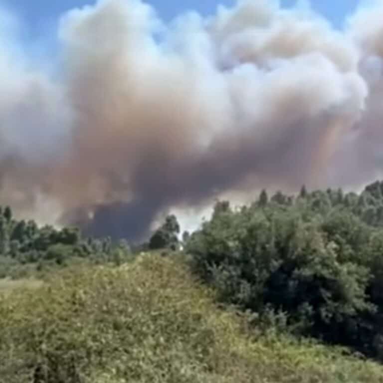 Μεγάλη φωτιά στη Σίβηρη Χαλκιδικής: Μηνύματα 112 για εκκενώσεις 2 περιοχών – 3 χιλιόμετρα το πύρινο μέτωπο Μεγάλη φωτιά στη Σίβηρη Χαλκιδικής: Μηνύματα 112 για εκκενώσεις 2 περιοχών – 3 χιλιόμετρα το πύρινο μέτωπο