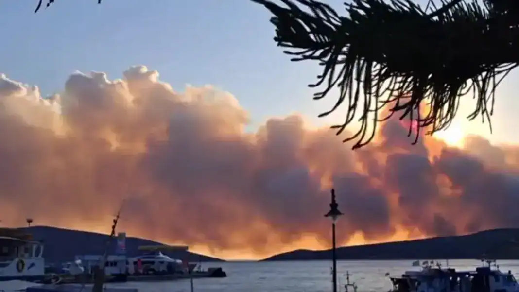 Φωτιά στη Σκύρο: Ξεκίνησαν και πάλι οι ρίψεις από 6 εναέρια μέσα – Μάχη με τους ισχυρούς ανέμους των 7 μποφόρ Φωτιά στη Σκύρο: Ξεκίνησαν και πάλι οι ρίψεις από 6 εναέρια μέσα – Μάχη με τους ισχυρούς ανέμους των 7 μποφόρ