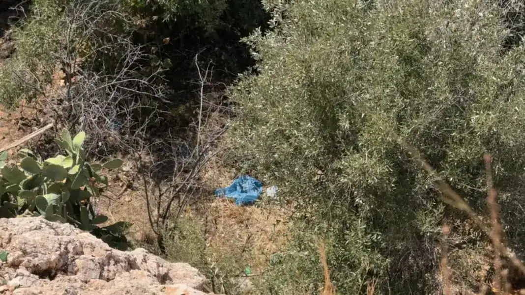 Κυψέλη: Βρέθηκαν ανθρώπινα οστά κοντά σε γήπεδο στην Αλεπότρυπα Κυψέλη: Βρέθηκαν ανθρώπινα οστά κοντά σε γήπεδο στην Αλεπότρυπα