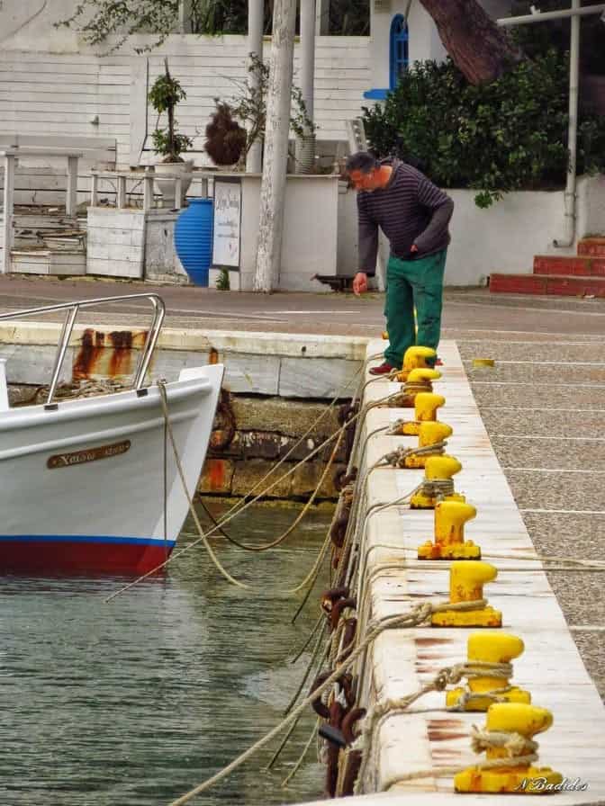 ΤΑ ΔΙΔΥΜΑ ΣΤΟ ΠΑΛΙΟ ΛΙΜΑΝΙ ΤΑ ΔΙΔΥΜΑ ΣΤΟ ΠΑΛΙΟ ΛΙΜΑΝΙ