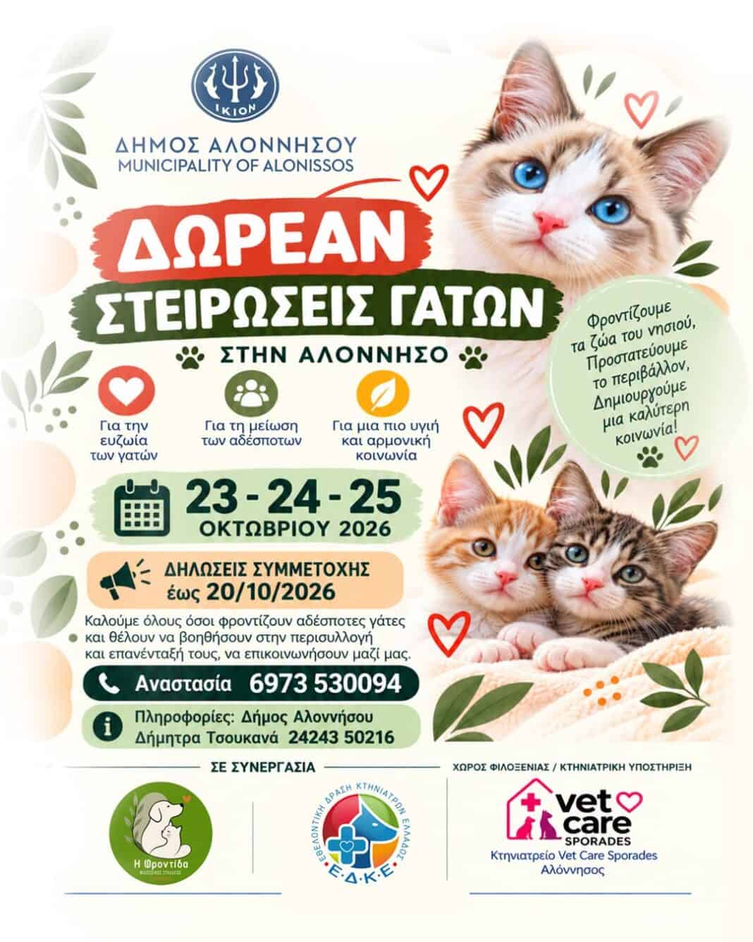 Δωρεάν στειρώσεις αδέσποτων γατών στην Αλόννησο Δωρεάν στειρώσεις αδέσποτων γατών στην Αλόννησο