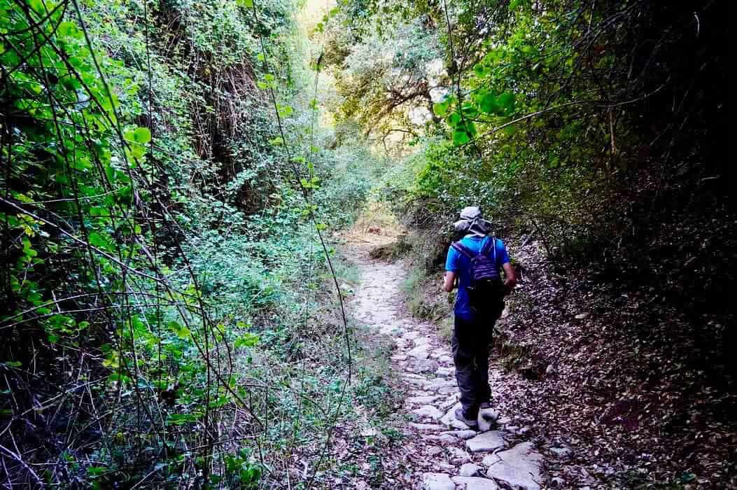 Αύξηση 21.8% των συμμετοχών στο δίκτυο πεζοπορικών διαδρομών του Δήμου Σκιάθου Αύξηση 21.8% των συμμετοχών στο δίκτυο πεζοπορικών διαδρομών του Δήμου Σκιάθου